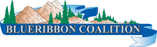 BlueRibbon Coalition